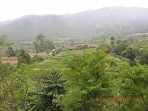 金河村[雲南省大理鶴慶縣龍開口鎮金河村委會]