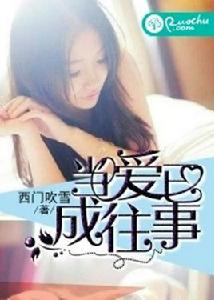 當愛已成往事[若初文學網小說]