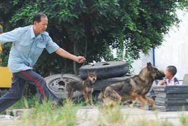 廈門經濟特區養犬管理辦法