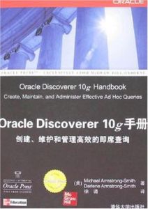 OracleDiscoverer10g手冊