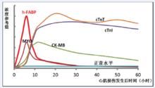 圖1.心肌損傷後心肌標誌物在血清中的變化