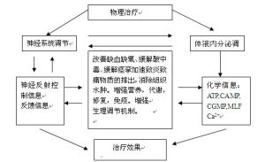 反向物理因子療法