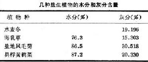 鹽沼生態