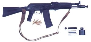 （圖）AK101