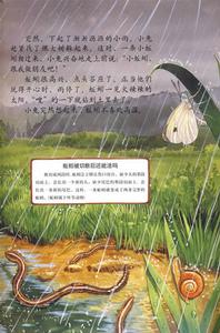 《“怦怦跳”科學圖畫書 （第一輯）》