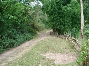 禾木自然村村內道路