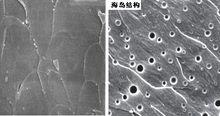 樹脂固化物海島結構示意圖