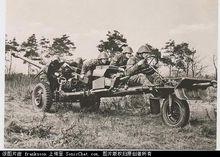 蘇聯陸軍D-44式1944年型85mm加農炮