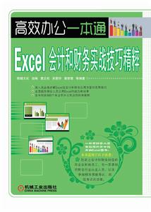 Excel會計和財務實戰技巧精粹