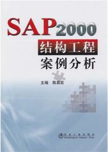 SAP2OOO結構工程案例分析