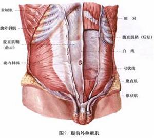 腹內疝