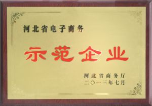 河北省電子商務示範企業