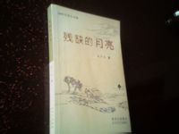 小說《殘缺的月亮》