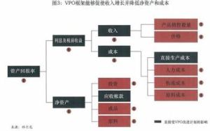 透明流程組織