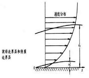 濃度界層