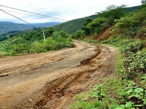 犁巴沙村通村公路