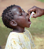 骨髓灰質炎 骨髓灰質炎