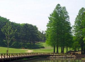 馬鞍山國家森林公園