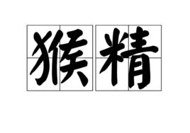 猴精[漢語詞語]