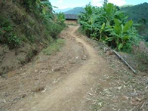 進村道路