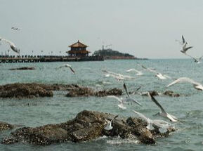 沙灘國家森林公園