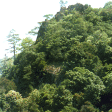 湛廬山風景區