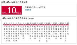 大嶺山公交10路