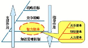 企業組織資本