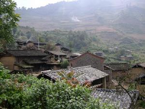 金竹棚自然村[雲南省文山縣開化鎮金竹棚自然村]