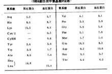 圖3 馬的肌紅蛋白與血紅蛋白的胺基酸組成