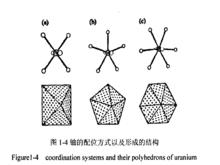 鈾的配位方式以及形成的結構