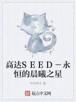 高達SEED－永恆的晨曦之星