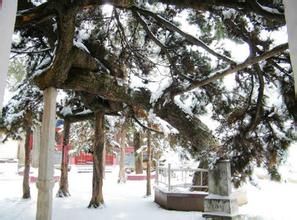 松雲寺