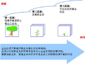 麥肯錫三層面理論