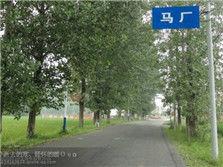 馬廠鎮[安徽省全椒縣馬廠鎮]