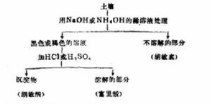 腐殖質化過程