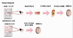 直映教育快速閱讀記憶原理圖