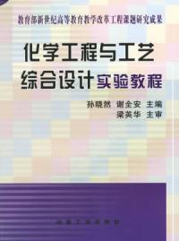 化學工程與工藝綜合設計實驗教程