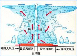 颱風結構