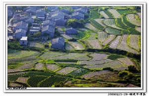 流水鎮[陝西省安康市流水鎮]