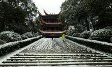 金鶚山雪景