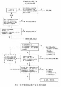 老年人急性腎功能衰竭