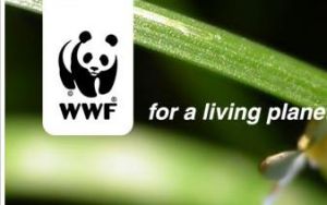 WWF(世界自然基金會)
