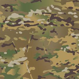 multicam