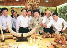 國務委員劉延東視察野生動物毛皮標本館