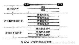 igp[IGP（內部網關協定）]