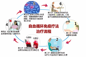 自血循環免疫療法治療流程圖