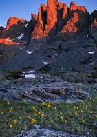 美國落基山高山凍原