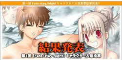 第一回 fate/stay night 全形色人氣投票