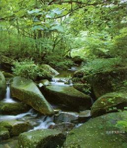 河南內鄉寶天幔國家地質公園